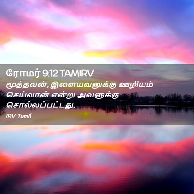 Picture 02 - ரோமர் 9:12 TAMIRV - மூத்தவன், - Bible Verse Picture