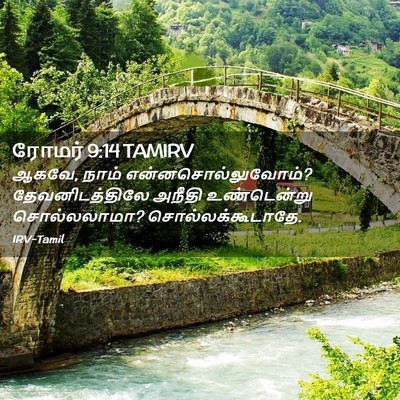 Picture 02 - ரோமர் 9:14 TAMIRV - ஆகவே, நாம் - Bible Verse Picture
