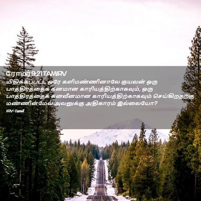 Picture 02 - ரோமர் 9:21 TAMIRV - மிதிக்கப்பட்ட ஒரே - Bible Verse Picture