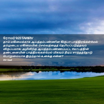Picture 02 - ரோமர் 9:23 TAMIRV - தாம் மகிமைக்காக - Bible Verse Picture