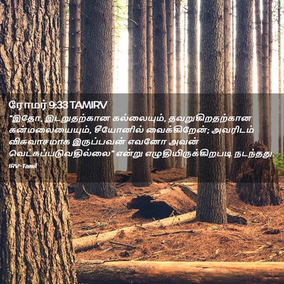Picture 02 - ரோமர் 9:33 TAMIRV - “இதோ, இடறுதற்கான - Bible Verse Picture