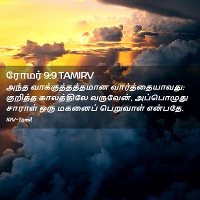 Picture 02 - ரோமர் 9:9 TAMIRV - அந்த - Bible Verse Picture