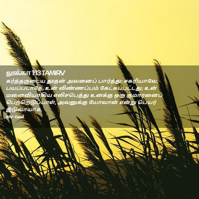 Picture 02 - லூக்கா 1:13 TAMIRV - கர்த்தருடைய தூதன் - Bible Verse Picture