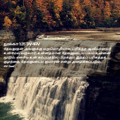 Picture 02 - லூக்கா 1:35 TAMIRV - தேவதூதன் அவளுக்கு - Bible Verse Picture