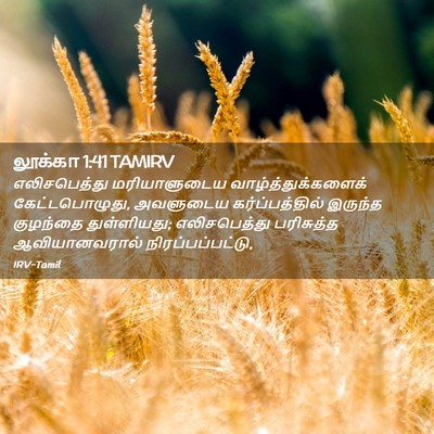 Picture 02 - லூக்கா 1:41 TAMIRV - எலிசபெத்து - Bible Verse Picture