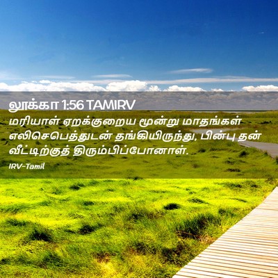 Picture 02 - லூக்கா 1:56 TAMIRV - மரியாள் ஏறக்குறைய - Bible Verse Picture