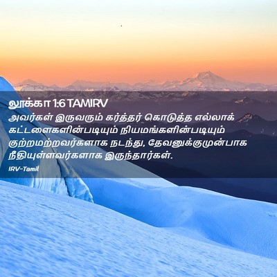 Picture 02 - லூக்கா 1:6 TAMIRV - அவர்கள் இருவரும் - Bible Verse Picture