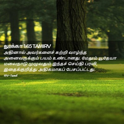 Picture 02 - லூக்கா 1:65 TAMIRV - அதினால் அவர்களைச் - Bible Verse Picture