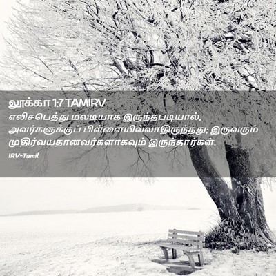 Picture 02 - லூக்கா 1:7 TAMIRV - எலிசபெத்து - Bible Verse Picture
