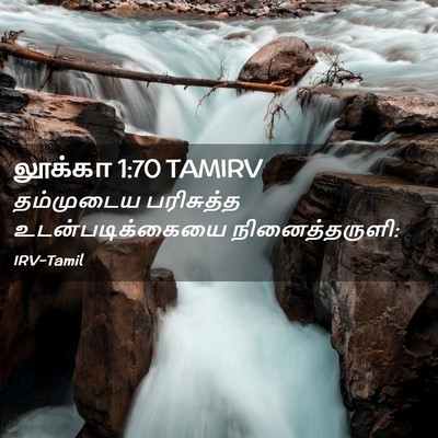 Picture 02 - லூக்கா 1:70 TAMIRV - தம்முடைய பரிசுத்த - Bible Verse Picture