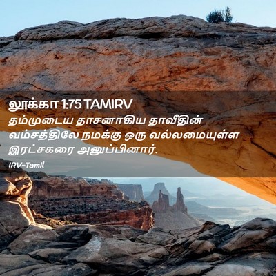 Picture 02 - லூக்கா 1:75 TAMIRV - தம்முடைய தாசனாகிய - Bible Verse Picture
