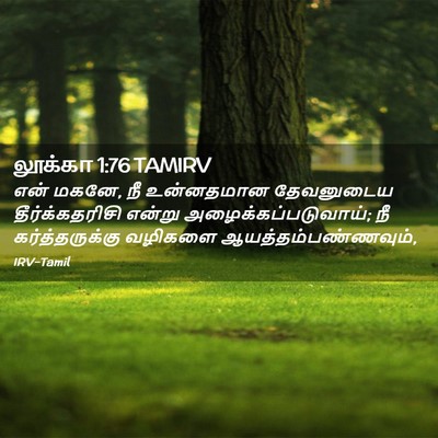 Picture 02 - லூக்கா 1:76 TAMIRV - என் மகனே, நீ - Bible Verse Picture