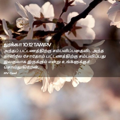 Picture 02 - லூக்கா 10:12 TAMIRV - அந்தப் - Bible Verse Picture