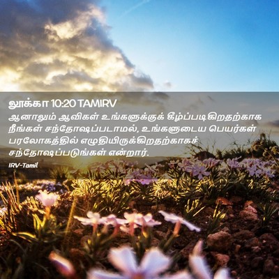 Picture 02 - லூக்கா 10:20 TAMIRV - ஆனாலும் ஆவிகள் - Bible Verse Picture