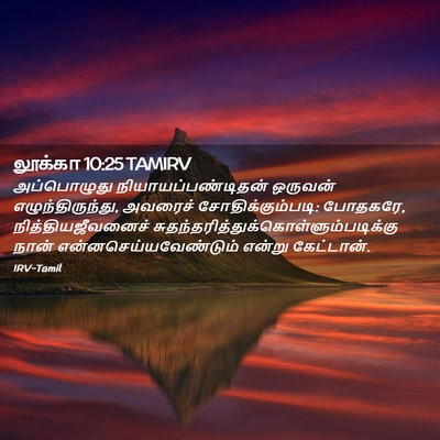 Picture 02 - லூக்கா 10:25 TAMIRV - அப்பொழுது - Bible Verse Picture