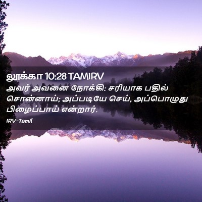 Picture 02 - லூக்கா 10:28 TAMIRV - அவர் அவனை நோக்கி: - Bible Verse Picture