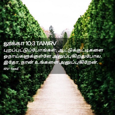 Picture 02 - லூக்கா 10:3 TAMIRV -  - Bible Verse Picture