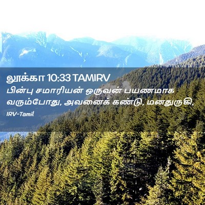 Picture 02 - லூக்கா 10:33 TAMIRV - பின்பு சமாரியன் - Bible Verse Picture