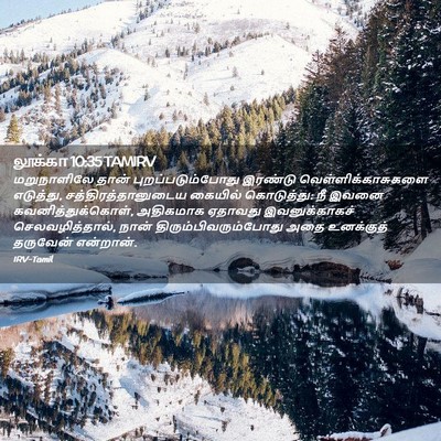 Picture 02 - லூக்கா 10:35 TAMIRV - மறுநாளிலே தான் - Bible Verse Picture