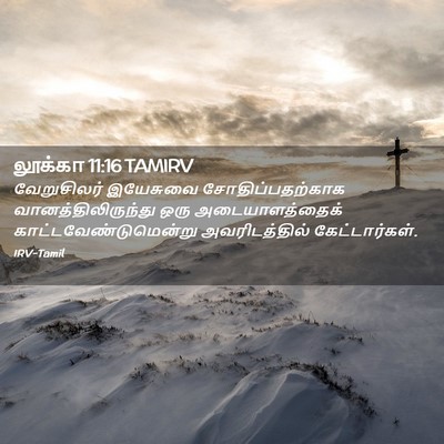 Picture 02 - லூக்கா 11:16 TAMIRV - வேறுசிலர் இயேசுவை - Bible Verse Picture