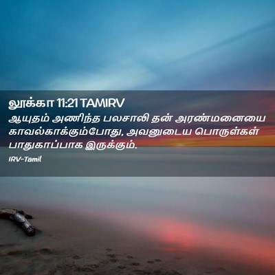 Picture 02 - லூக்கா 11:21 TAMIRV - ஆயுதம் அணிந்த - Bible Verse Picture
