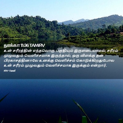 Picture 02 - லூக்கா 11:36 TAMIRV - உன் சரீரத்தின் - Bible Verse Picture