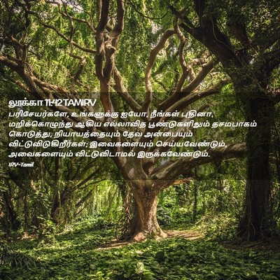 Picture 02 - லூக்கா 11:42 TAMIRV - பரிசேயர்களே, - Bible Verse Picture