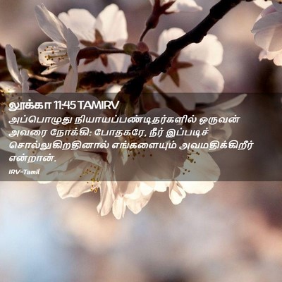 Picture 02 - லூக்கா 11:45 TAMIRV - அப்பொழுது - Bible Verse Picture