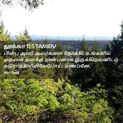 Picture 02 - லூக்கா 11:5 TAMIRV - பின்பு அவர் - Bible Verse Picture