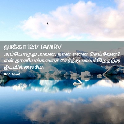 Picture 02 - லூக்கா 12:17 TAMIRV - அப்பொழுது அவன்: - Bible Verse Picture