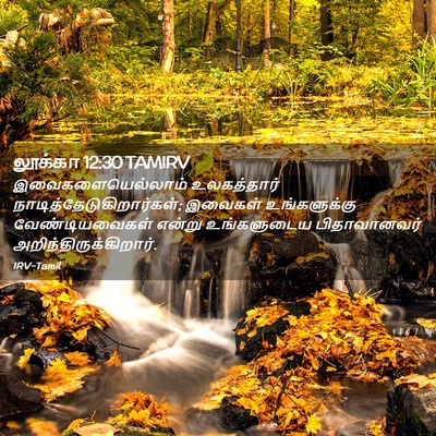 Picture 02 - லூக்கா 12:30 TAMIRV - இவைகளையெல்லாம் - Bible Verse Picture