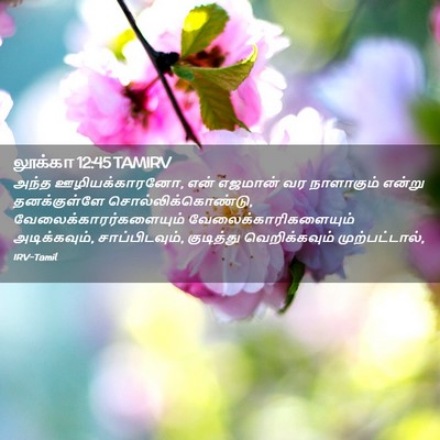 Picture 02 - லூக்கா 12:45 TAMIRV - அந்த ஊழியக்காரனோ, - Bible Verse Picture
