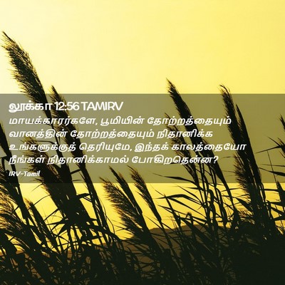 Picture 02 - லூக்கா 12:56 TAMIRV - மாயக்காரர்களே, - Bible Verse Picture