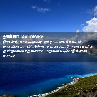 Picture 02 - லூக்கா 12:6 TAMIRV - இரண்டு - Bible Verse Picture