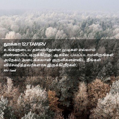Picture 02 - லூக்கா 12:7 TAMIRV - உங்களுடைய - Bible Verse Picture