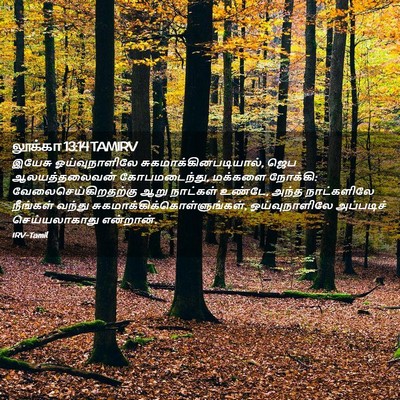 Picture 02 - லூக்கா 13:14 TAMIRV - இயேசு ஓய்வுநாளிலே - Bible Verse Picture