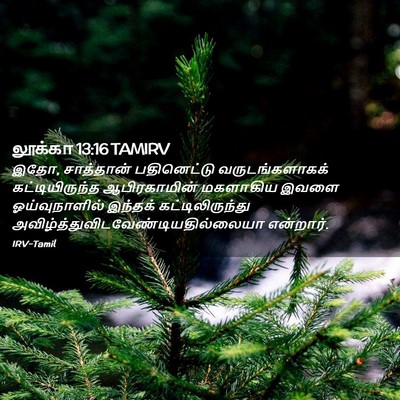 Picture 02 - லூக்கா 13:16 TAMIRV - இதோ, சாத்தான் - Bible Verse Picture