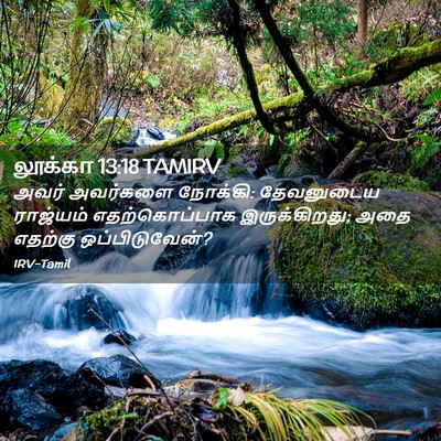 Picture 02 - லூக்கா 13:18 TAMIRV - அவர் அவர்களை - Bible Verse Picture