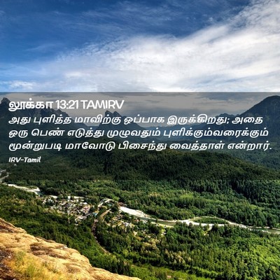 Picture 02 - லூக்கா 13:21 TAMIRV - அது புளித்த - Bible Verse Picture