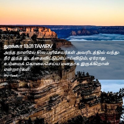 Picture 02 - லூக்கா 13:31 TAMIRV - அந்த நாளிலே சில - Bible Verse Picture