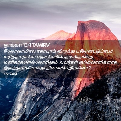 Picture 02 - லூக்கா 13:4 TAMIRV - சீலோவாமிலே - Bible Verse Picture