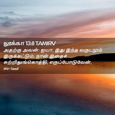 Picture 02 - லூக்கா 13:8 TAMIRV - அதற்கு அவன்: ஐயா, - Bible Verse Picture