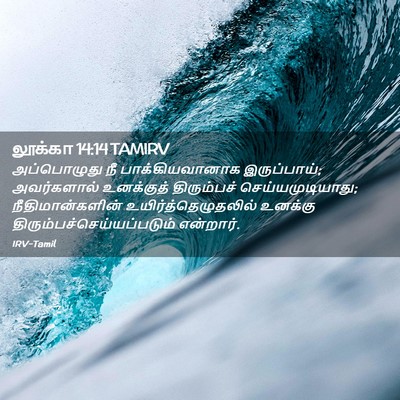 Picture 02 - லூக்கா 14:14 TAMIRV - அப்பொழுது நீ - Bible Verse Picture