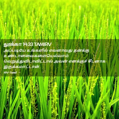 Picture 02 - லூக்கா 14:33 TAMIRV - அப்படியே உங்களில் - Bible Verse Picture