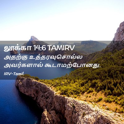Picture 02 - லூக்கா 14:6 TAMIRV - அதற்கு - Bible Verse Picture