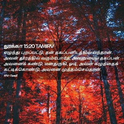 Picture 02 - லூக்கா 15:20 TAMIRV - எழுந்து - Bible Verse Picture