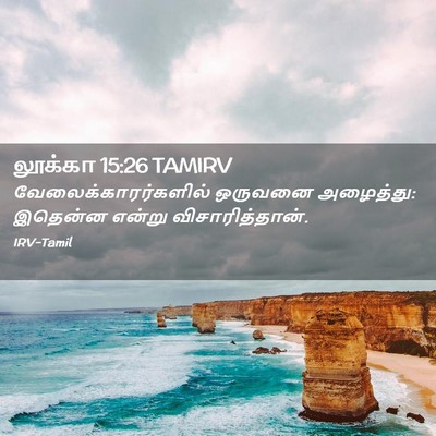 Picture 02 - லூக்கா 15:26 TAMIRV - வேலைக்காரர்களில் - Bible Verse Picture