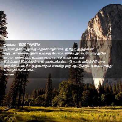 Picture 02 - லூக்கா 15:29 TAMIRV - அவன் தகப்பனுக்கு - Bible Verse Picture