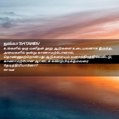 Picture 02 - லூக்கா 15:4 TAMIRV - உங்களில் ஒரு - Bible Verse Picture