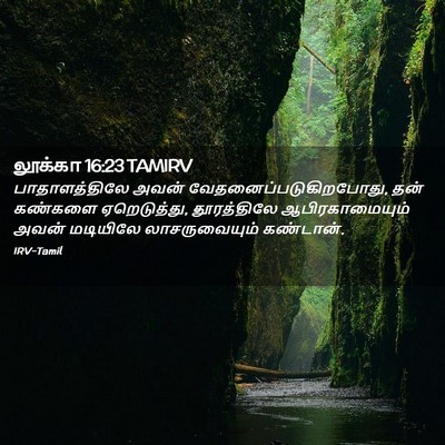 Picture 02 - லூக்கா 16:23 TAMIRV - பாதாளத்திலே அவன் - Bible Verse Picture